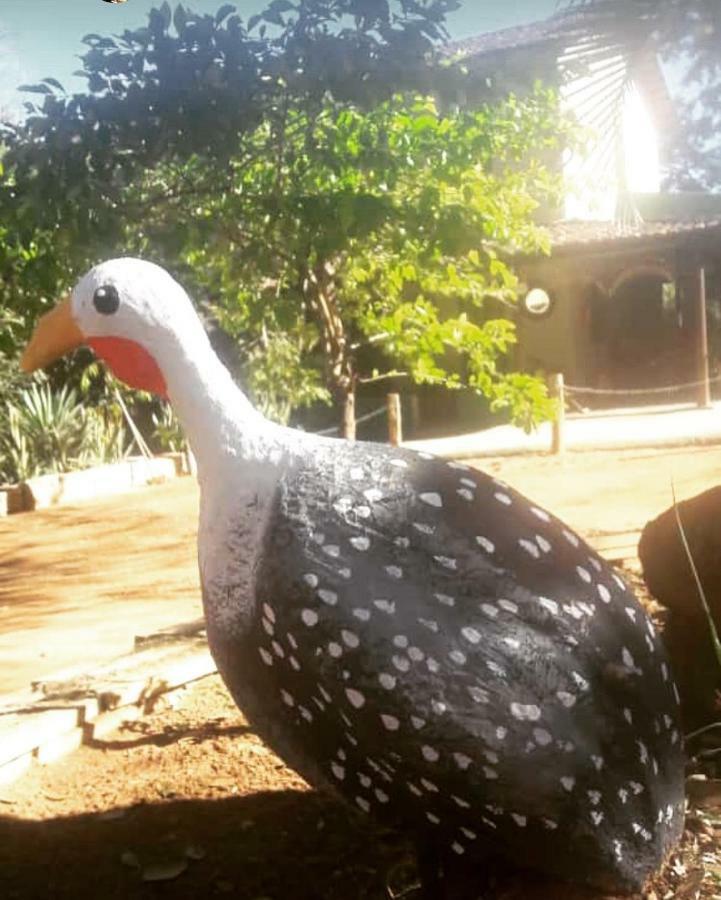 Pousada Vila Cintra Pirenópolis Esterno foto